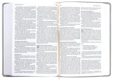 NLT READ THIS BIBLE MARL GREY (ANGLICISED)