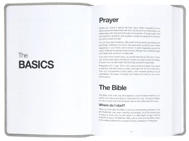 NLT READ THIS BIBLE MARL GREY (ANGLICISED)