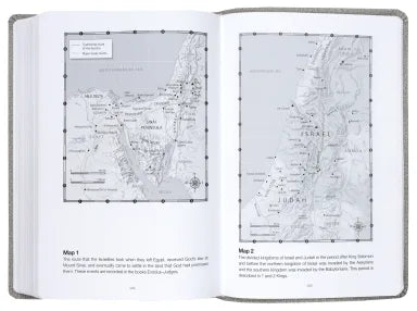 NLT READ THIS BIBLE MARL GREY (ANGLICISED)