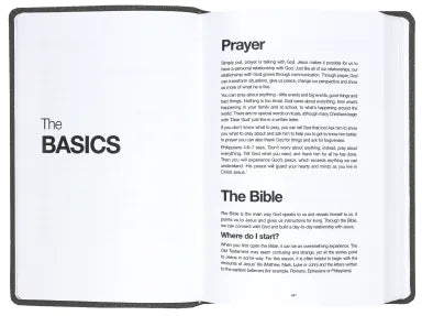 NLT READ THIS BIBLE DAPPLED BLACK (ANGLICISED)