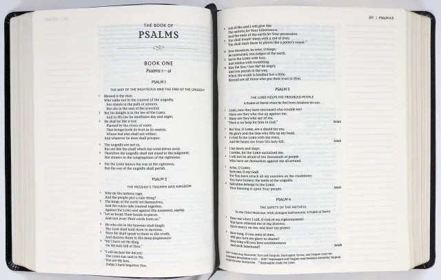 B NKJV JOURNAL THE WORD BIBLE BLACK (RED LETTER EDITION)