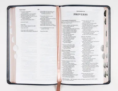 B NKJV THINLINE BIBLE NAVY THUMB INDEXED (RED LETTER EDITION)