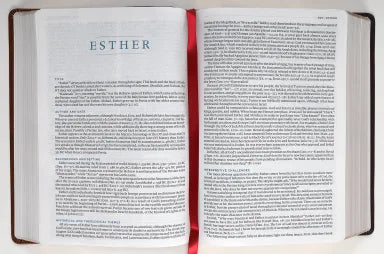 B ESV MACARTHUR STUDY BIBLE 2ND EDITION BROWN (BLACK LETTER EDITION)