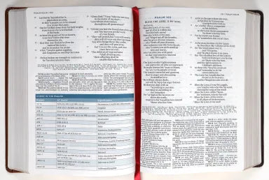 B ESV MACARTHUR STUDY BIBLE 2ND EDITION BROWN (BLACK LETTER EDITION)