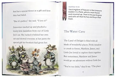 THE KING'S CADETS AND LITTLE JOE: A LITTLE PILGRIM'S PROGRESS ADVENTURE