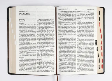 B KJV LARGE PRINT PERSONAL SIZE REFERENCE BIBLE BROWN/BLACK LEATHERTOUCH INDEXED