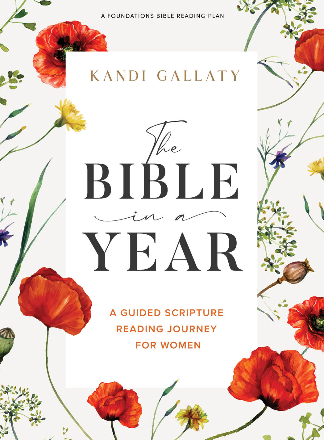 HE BIBLE IN A YEAR: A GUIDED SCRIPTURE READING JOURNEY FOR WOMEN (BIBLE STUDY BOOK)