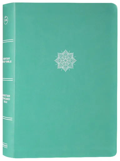 B CSB EVERYDAY STUDY BIBLE MINT