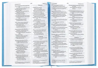 B NIV POCKET CLASSIC BIBLE SEASCAPE BLUE (ANGLICISED VERSION)