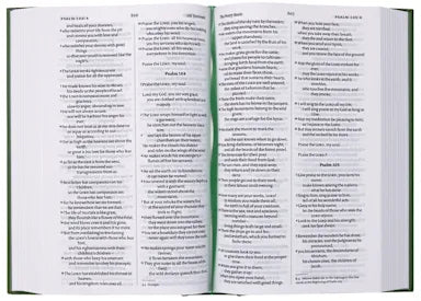 NIV CLASSIC BIBLE GARDEN GREEN (ANGLICISED VERSION)