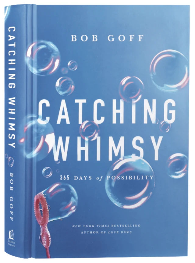 CATCHING WHIMSY: 365 DAYS OF POSSIBILITY