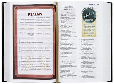 B NKJV ARMOR OF GOD BIBLE (RED LETTER EDITION)