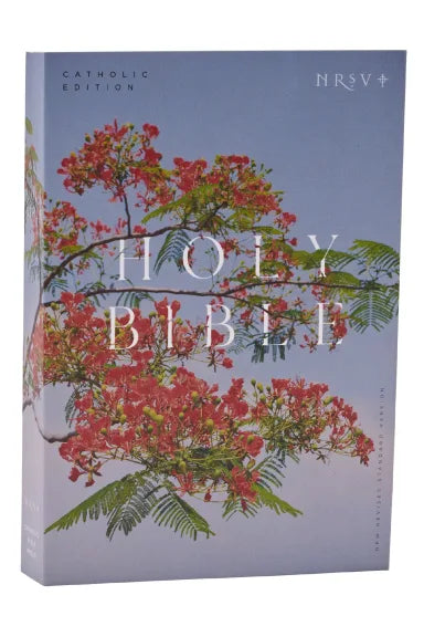 B NRSV CATHOLIC EDITION BIBLE ROYAL POINCIANA ANGLICISED TEXT GLOBAL COVER SERIES