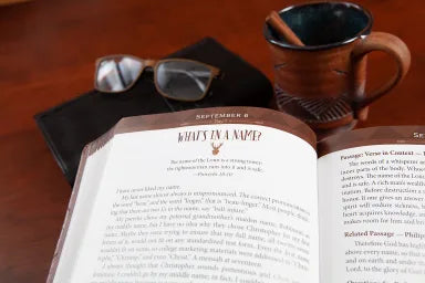 365DD: DAILY STRENGTH FOR MEN