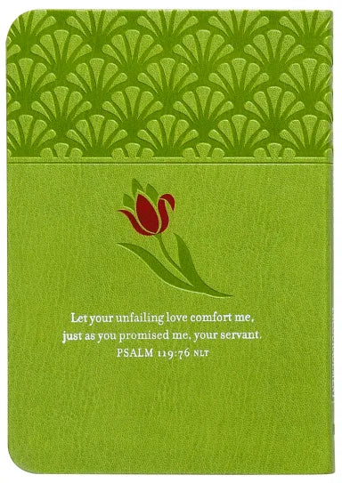 PRAYERS & PROMISES OF COMFORT AND ENCOURAGEMENT