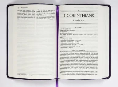 TPT NEW TESTAMENT VIOLET (BLACK LETTER EDITION) (WITH PSALMS PROVERBS AND THE SONG OF SONGS)