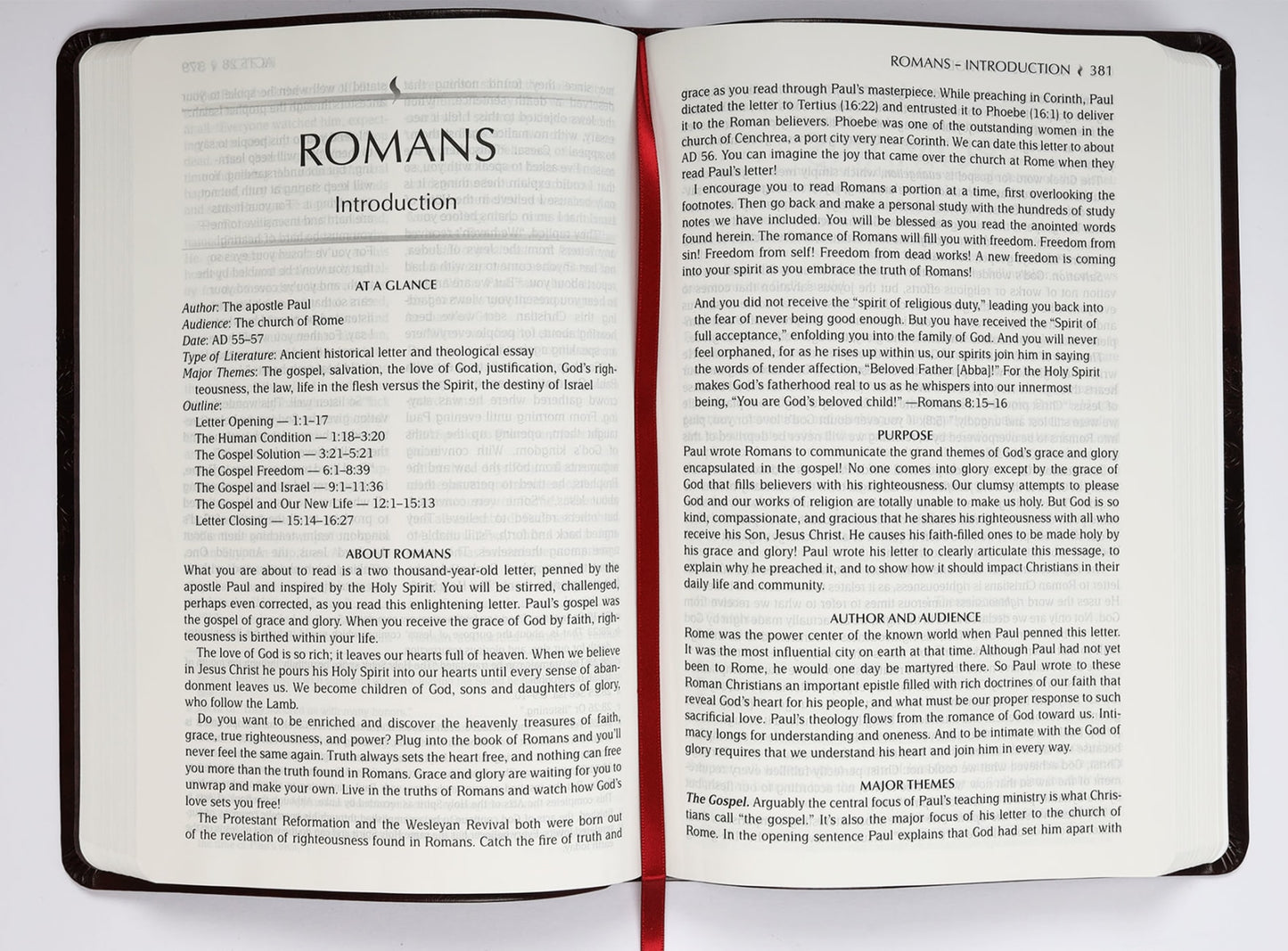 B TPT NEW TESTAMENT LARGE PRINT BURGUNDY (BLACK LETTER EDITION) (WITH PSALMS PROVERBS AND THE SONG OF SONGS)