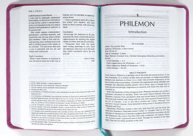 TPT NEW TESTAMENT COMPACT YOUTH GIRLS BUTTERFLY PINK (WITH PSALMS PROVERBS AND THE SONG OF SONGS)
