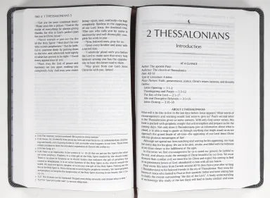 B TPT NEW TESTAMENT LARGE PRINT GRAY (WITH PSALMS PROVERBS AND THE SONG OF SONGS)