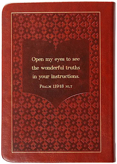 THE BIBLE READING PLAN DEVOTIONAL FOR MEN: 365 DAILY MEDITATIONS