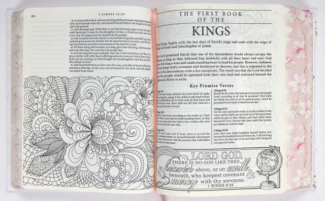 KJV MY PROMISE BIBLE LARGE PRINT PINK FLORAL (BLACK LETTER EDITION)