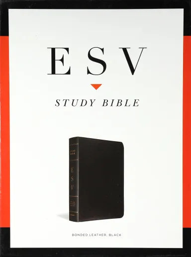 B ESV STUDY BIBLE BLACK (BLACK LETTER EDITION)