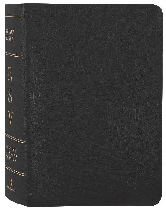 B ESV PERSONAL SIZE REFERENCE BIBLE BLACK (BLACK LETTER EDITION)