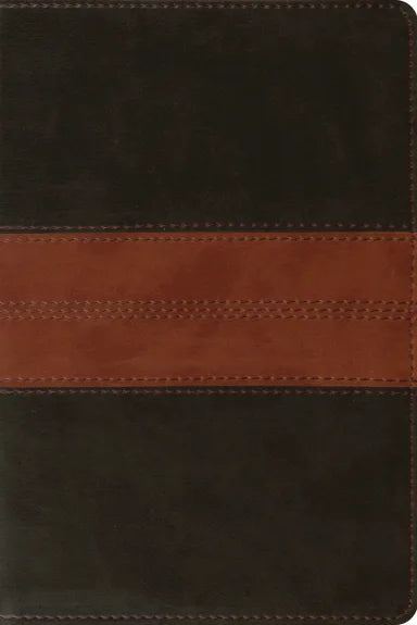 B ESV PERSONAL REFERENCE BIBLE DEEP BROWN/TAN TRAIL DESIGN (BLACK LETTER EDITION)