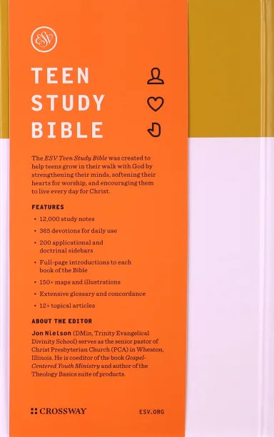 B ESV TEEN STUDY BIBLE DESERT SUN