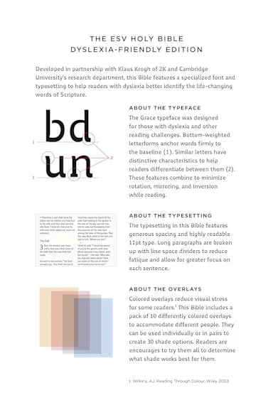 B ESV HOLY BIBLE: DYSLEXIA-FRIENDLY EDITION BROWN
