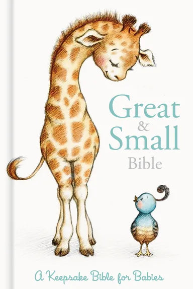 B CSB GREAT AND SMALL BIBLE BOXED
