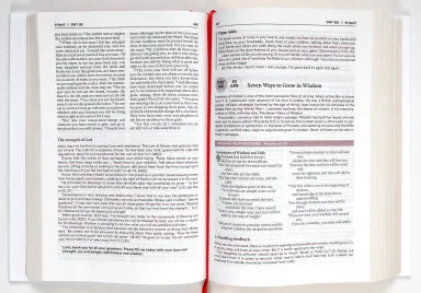 B NIV BIBLE IN ONE YEAR WITH DAILY COMMENTARY