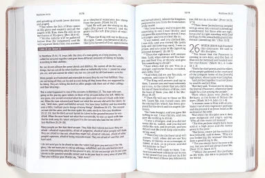 B AMPLIFIED THE EVERYDAY LIFE BIBLE BLUSH