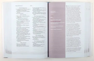 B AMPLIFIED THE EVERYDAY LIFE BIBLE