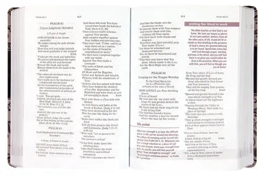 B AMPLIFIED THE EVERYDAY LIFE BIBLE GRAY