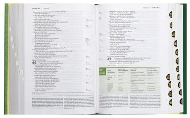 B NLT LIFE APPLICATION STUDY BIBLE 3RD EDITION INDEXED (RED LETTER EDITION)