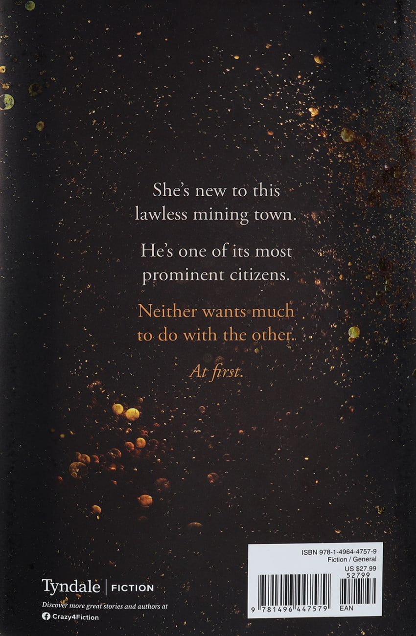 THE LADY'S MINE HARDBACK