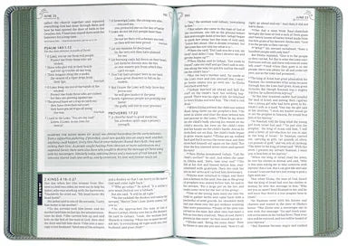 B NLT THE ONE YEAR BIBLE FOR WOMEN BIRDSONG TEAL