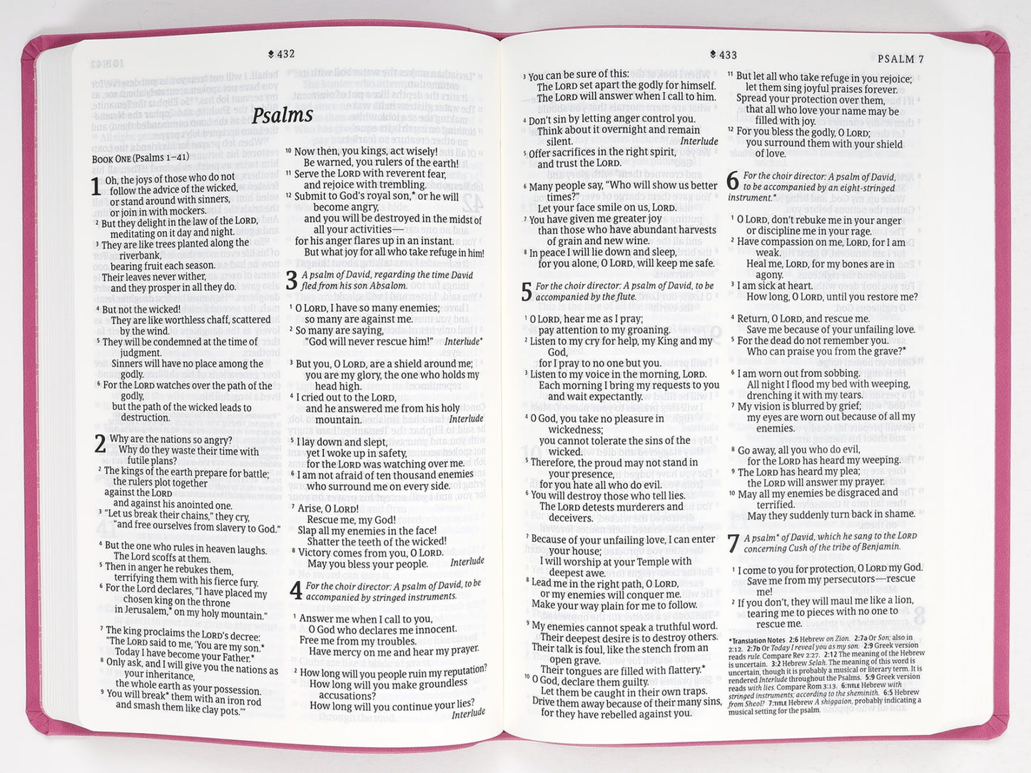 B NLT LARGE PRINT PREMIUM VALUE THINLINE BIBLE FILAMENT ENABLED EDITION GARDEN PINK