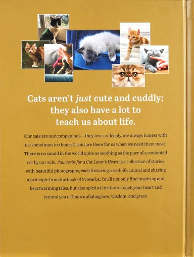 PAWVERBS FOR A CAT LOVER'S HEART: INSPIRING STORIES OF FEISTINESS FRIENDSHIP AND FUN