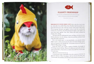 PAWVERBS FOR A CAT LOVER'S HEART: INSPIRING STORIES OF FEISTINESS FRIENDSHIP AND FUN