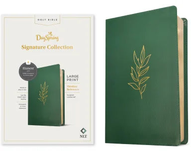 B NLT LARGE PRINT THINLINE REFERENCE BIBLE FILAMENT ENABLED EDITION EVERGREEN DAYSPRING SIGNATURE COLLECTION (RED LETTER EDITION)