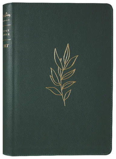 B NLT LARGE PRINT THINLINE REFERENCE BIBLE FILAMENT ENABLED EDITION EVERGREEN DAYSPRING SIGNATURE COLLECTION (RED LETTER EDITION)