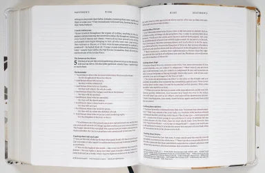 NLT WIDE MARGIN BIBLE FILAMENT ENABLED EDITION AUTUMN LEAVES DAYSPRING SIGNATURE COLLECTION (RED LETTER EDITION) (DAYSPRING SIGNATURE COLLECTION)