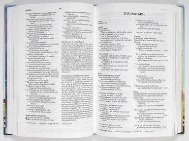 B NRSVUE CHILDREN'S BIBLE (AGES 7-12) (BLACK LETTER EDITION)