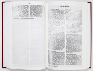 B NRSVUE PEW BIBLE BURGUNDY