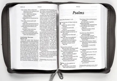NLT COMPACT GIANT PRINT ZIPPER BIBLE FILAMENT-ENABLED EDITION WOVEN CROSS GRAY (RED LETTER EDITION)
