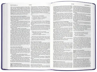 B NLT LARGE PRINT PREMIUM VALUE THINLINE BIBLE FILAMENT-ENABLED EDITION LAVENDER SONG