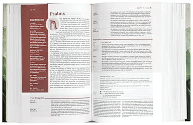 B NLT LIFE APPLICATION STUDY BIBLE THIRD EDITION PERSONAL SIZE TEAL (RED LETTER EDITION)