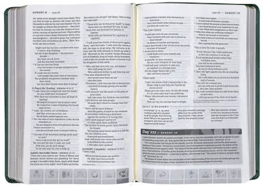 B NLT ONE YEAR CHRONOLOGICAL STUDY BIBLE SAGE GREEN MOSAIC